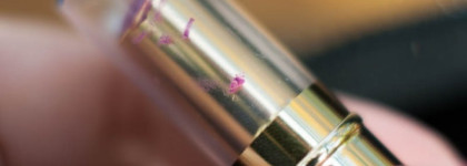 Max Factor Lipfinity Long Lasting Lipstick в оттенке 55 Eternally Luscious