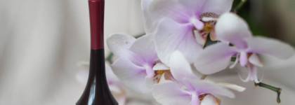 Saem Eco Soul Power Edge Gel Liner 04 Cranberry