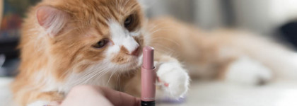 Мой идеальный нюд MAC Liptensity Lipstick #Driftwood