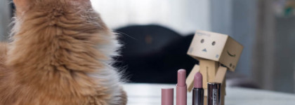 Мой идеальный нюд MAC Liptensity Lipstick #Driftwood