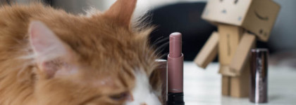 Мой идеальный нюд MAC Liptensity Lipstick #Driftwood