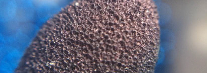 Shiseido Luminizing Satin Eye Color Trio RD299 Beach Grass