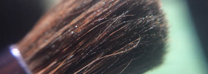 Shiseido Luminizing Satin Eye Color Trio #GR 305 Jungle