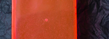 CHI Keratin Leave-In Conditioner reconstructing treatment от Farouk Systems Inc