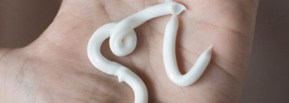 Easy Spa Honey Grapefruit Intensive Moisturizing Conditioner (кондиционер для сухих волос и чувствительной кожи головы)