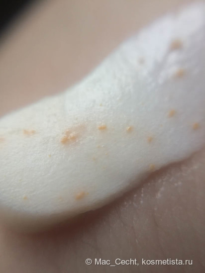 Shiseido в моей косметичке