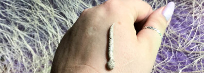 Фавориты "Чистой линии"