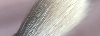 Кисть Annbeauty A9