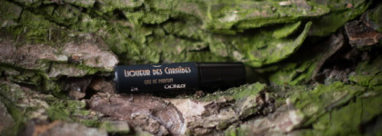 Maison des Fragrances