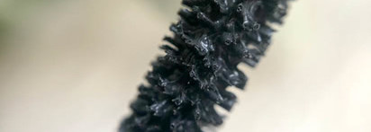 Make Up For Ever Excessive Lash