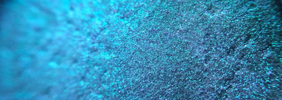 Tammy Tanuka Sigil Inspired #Пава