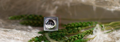 Dior backstage Lip Glow Oil #001 Pink vs. Clarins Lip Comfort Oil #06 Mint