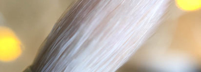 Мини-коллекция кистей Annbeauty