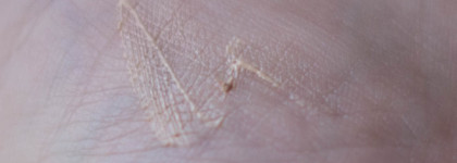 Заслуживает внимания! Max Factor Miracle prep eyeshadow primer