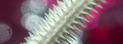 Опахала за 200 рублей с Eveline 3 в 1 Advance Volumiere