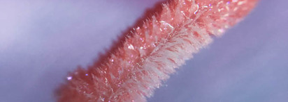 Pat Mcgrath Lust Gloss #Pale Fair Nectar