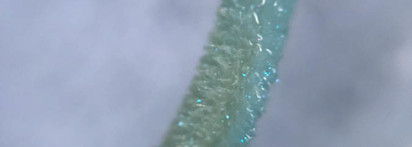 Pat Mcgrath Lust Gloss #Astral Moon Flower