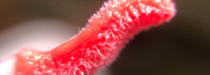 Mac Powerglass Plumping Lip Gloss