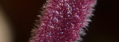 Pat Mcgrath Lust Gloss #Astral Flashdance