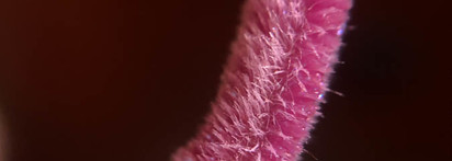 Pat Mcgrath Lust Gloss #Astral Flashdance