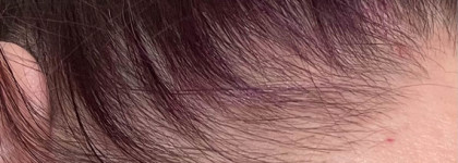 Битва за волосы, или Последствия Covid-19