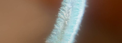 Kiko Milano Lip Volume 02 Organza Sky