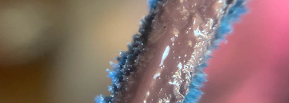 Gosh Lumi Lips Lip Gloss 006 Gal