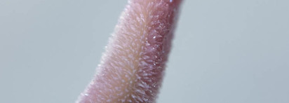 Becca Liquid Crystal Lip Topper Glow Gloss #Amethyst X Geode