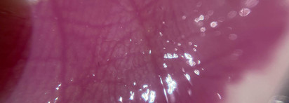 Givenchy Le Rose Perfecto Liquid Balm #22