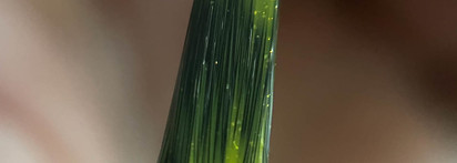 Самые летние: Catrice ICO Nails Gel Laquer 47 Don't Judge A Nail By Its Color и Masura Nail Polish Яхта, море, акваланг