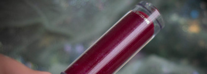 Для нелюбителей липких блесков: Shik Lip Care Gloss #Blackberry