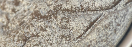 More Than Glow от Сatrice 010 Ultimate Platinum Glaze