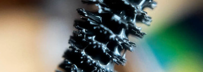 Для любителей натурального: тушь для ресниц с чернилами каракатицы Doctor Oil