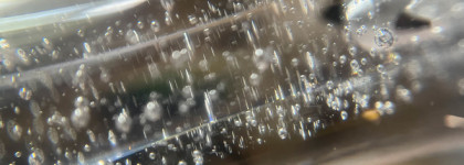 Свои губы, только из драконьего стекла: Luxvisage Dragon Glass 3D volume