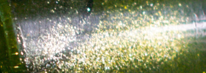 Luxvisage 3D Holographic 712