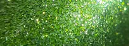 Luxvisage 3D Holographic 712