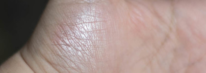 Пять продуктов Seventeen