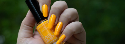 Jeanmishel Gel Effect 335