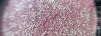 Bernovich Sparkle х-14