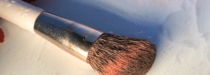 Бессмерт(н)ные пушистики