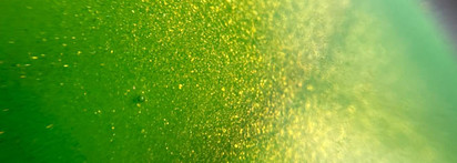 Итоги осени: Мотыльки, покупки и фавориты