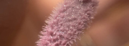 Kiko Milano 3D Hydra Lipgloss 27 Pearly Lavender