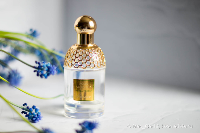 Люксовая зелень Guerlain - Aqua Allegoria Herba Fresca