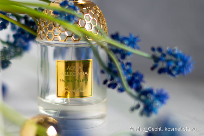 Люксовая зелень Guerlain - Aqua Allegoria Herba Fresca