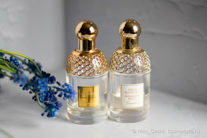 Люксовая зелень Guerlain - Aqua Allegoria Herba Fresca