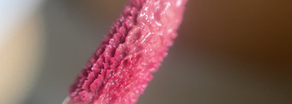 Rom&nd Juicy Lasting Tint 25 Bare Grape