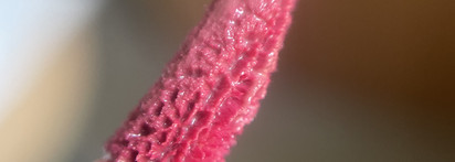 Rom&nd Juicy Lasting Tint 25 Bare Grape