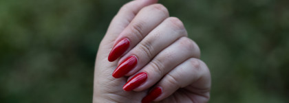 Berenice, часть 2: цветные лаки и мерцающий топ