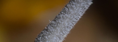 Beauty Bomb Cyberbomb Dirty Lick Lip gloss Alpha-rad & Gamma-rad