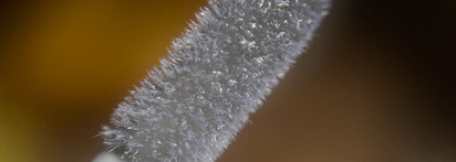 Beauty Bomb Cyberbomb Dirty Lick Lip gloss Alpha-rad & Gamma-rad